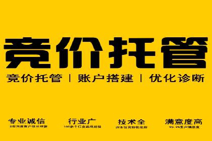 百度竞价代理的转化率提升策略及案例分享